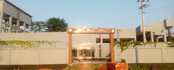 image-here